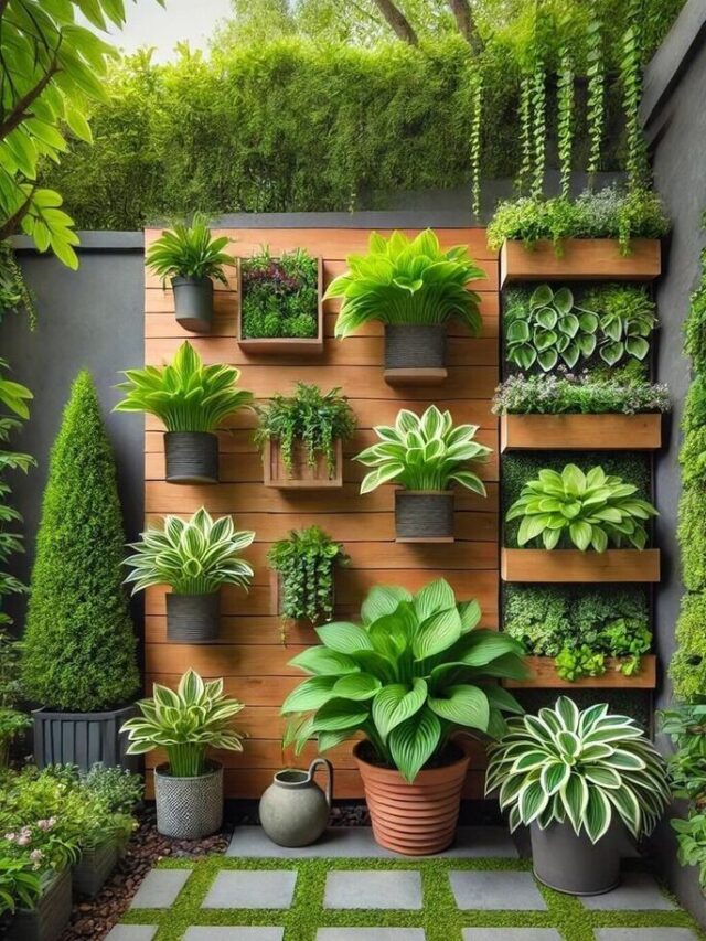Low-Maintenance Plants for Your Balcony